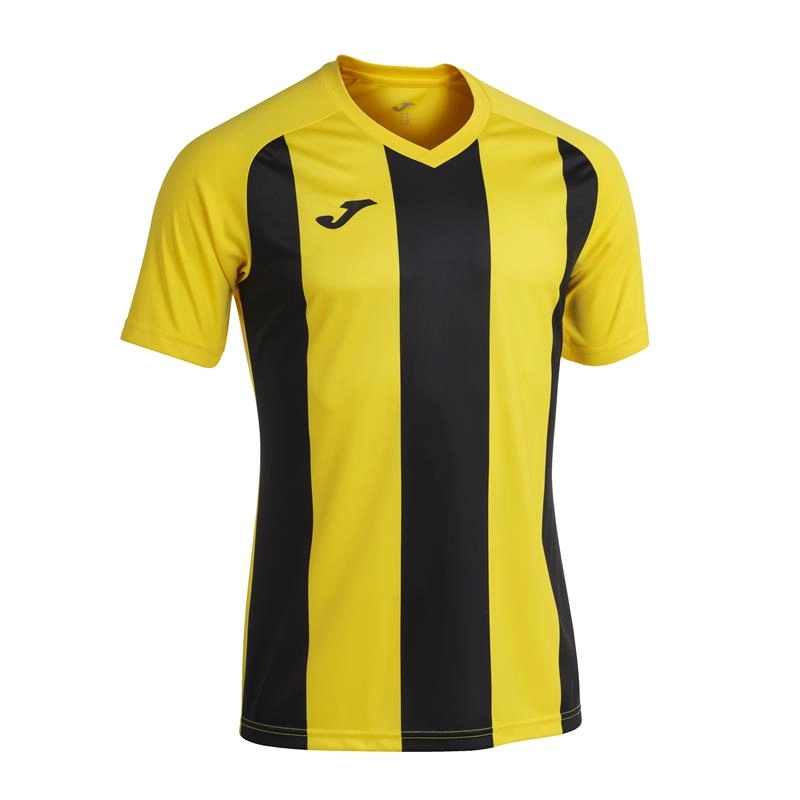PISA 2 Team Shirt